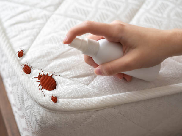 Best Residential Pest Control  in Sidy, NE